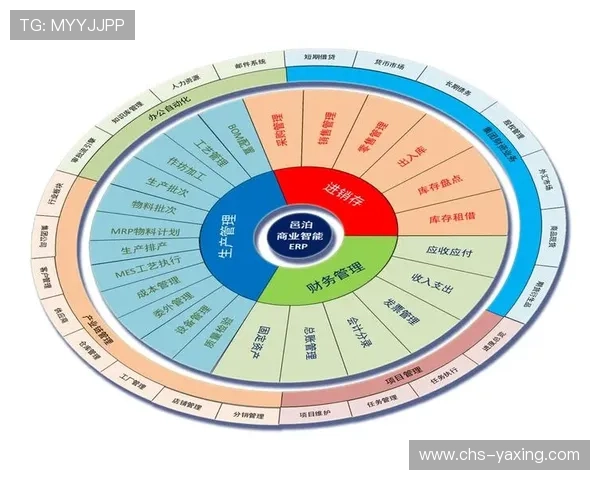 亚星管理官网：企业财务管理与人力资源管理的专业解决方案