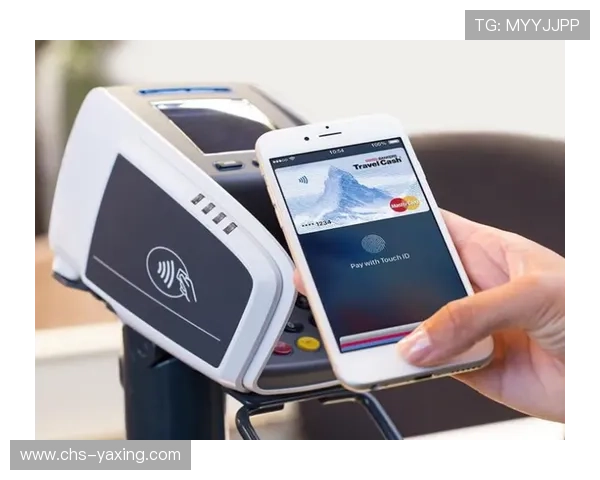 亚新体育登录下载安全性分析，保障用户个人信息与支付安全