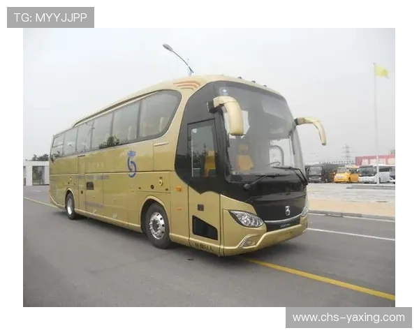 亚星YBL6125H1QJ2的安装与调试指南，帮助玩家快速上手享受极致游戏体验