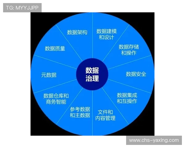 亚星中国数据治理中的数据安全技术与防护措施全面解析