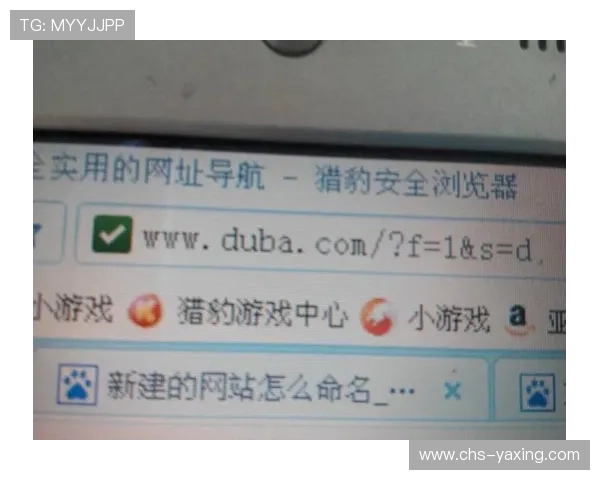 亚星娱乐的网址详细解析，帮助用户快速找到官方登录入口确保账号安全