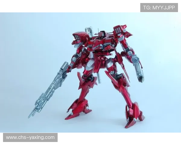 亚星官方旗舰店官网详细攻略指南带你了解最新游戏周边产品和购买流程