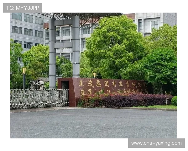 亚星集团有限公司的企业社会责任与公益项目介绍促进企业形象的正面塑造